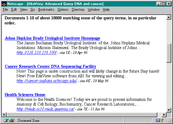 Screen shot of results in Alta Vista