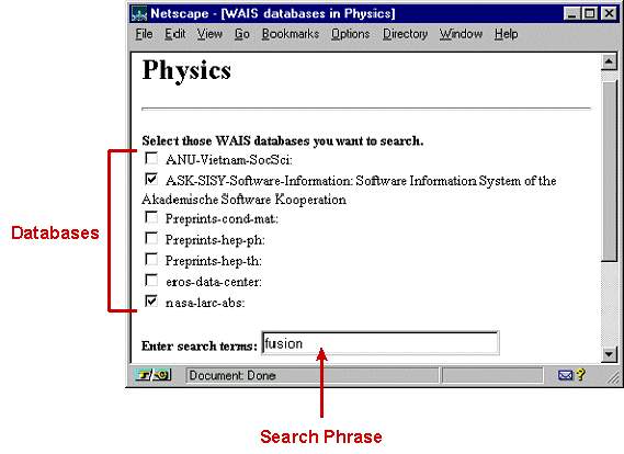 [Screen shot of WAIS search with WWW 
interface